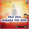 About Dilo Dilo Banjara Top Song Song